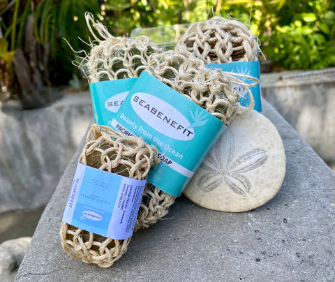 Buy 3 Get One Free Seaweed Travel size Soap