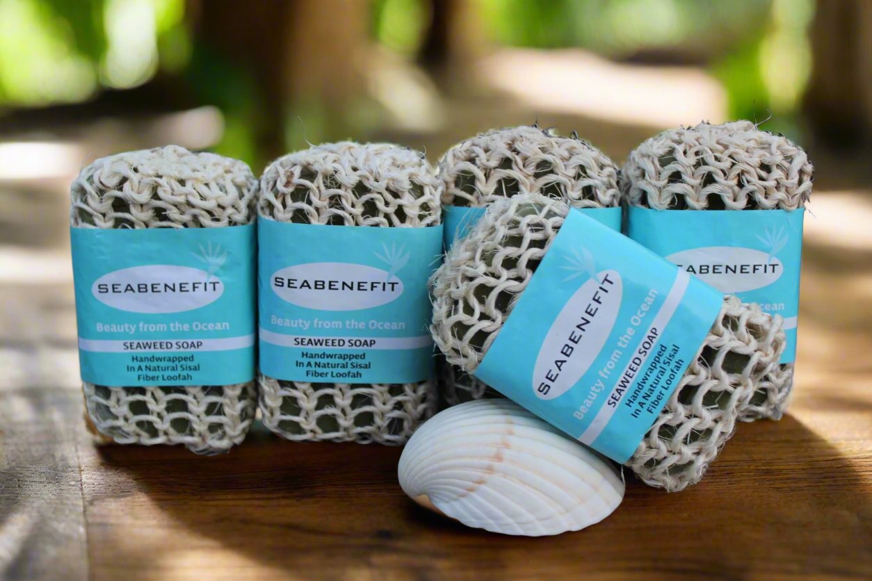 Five seaweed soaps wrapped in loofah one free